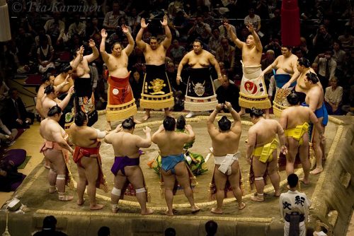 5015 – Sumo wrestlers in Tokyo, Japan