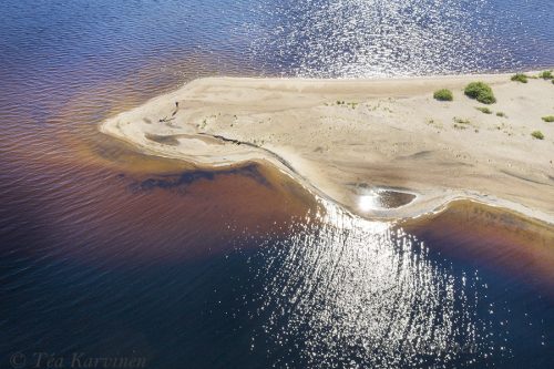 656 – Island of Ärjä in Oulujärvi lake