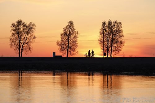 737 – Nallikari, Oulu