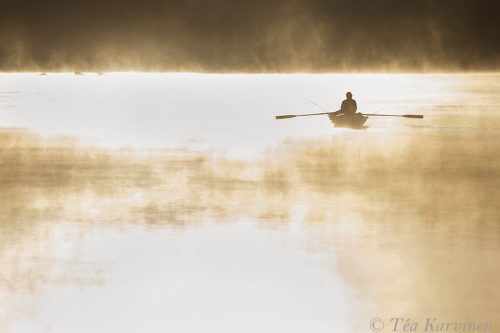 7715 – Early morning in Salamajärvi National Park