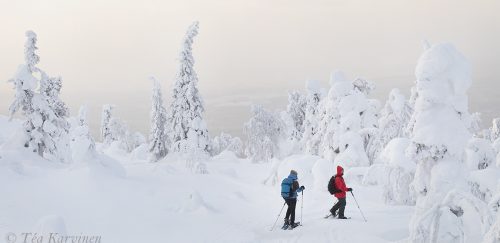 9494-9495 – Salla National Park