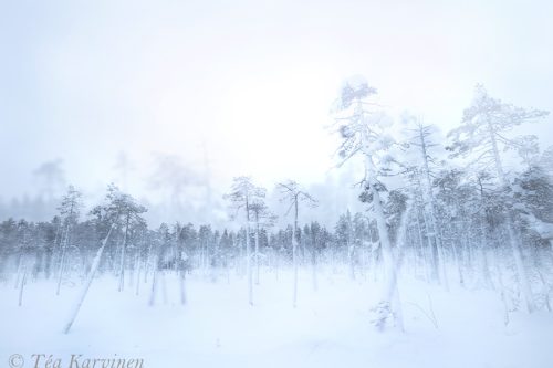 429