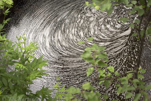 8103 – Water in Oulanka National Park