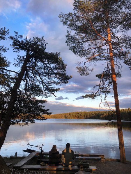 1252 – Komion luonnonsuojelualue, Komio Nature Reserve in Loppi