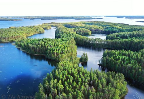 317 – Island of Rokansaari, Puumala, Saimaa, has small lakes.
