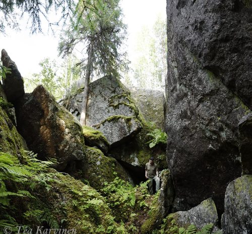 4252-4255 – Hannu Siitonen in Haarikko (a special area in eastern part of Finland).