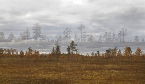 6082 – Viiankiaapa, Sodankylä, Lapland