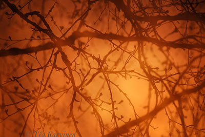 Photo of the week