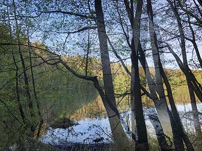 Photo of the week