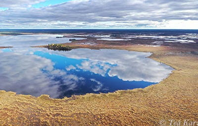 Photo of the week